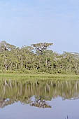 Canoe journey down the rivers of the Madre de Dios department in the Manu reserve